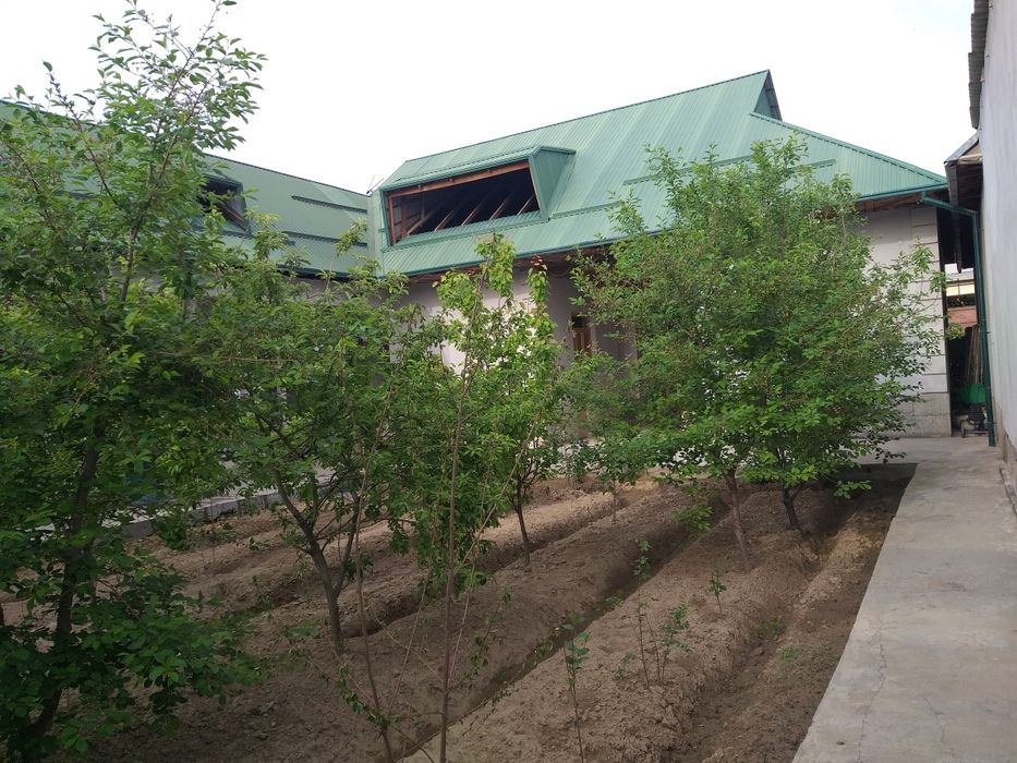 Срочно ! 6 сотихли ховли уй сотилади