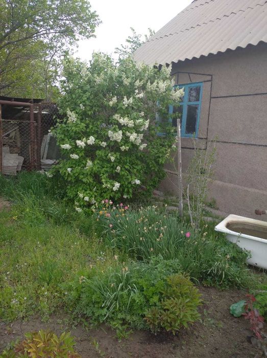 Продается дача срочно