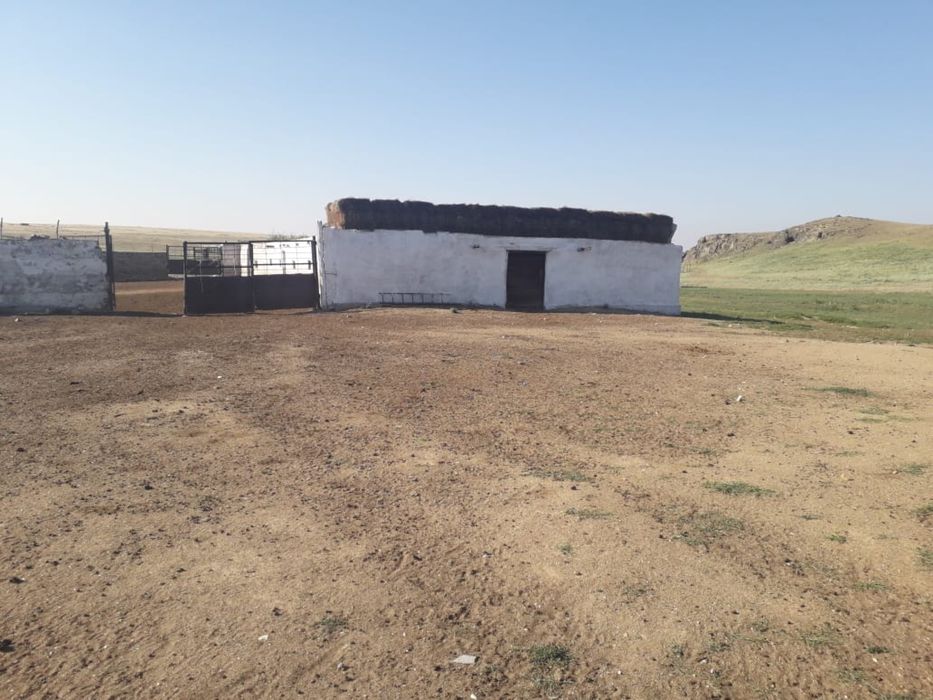 Крестьянское хозяйство