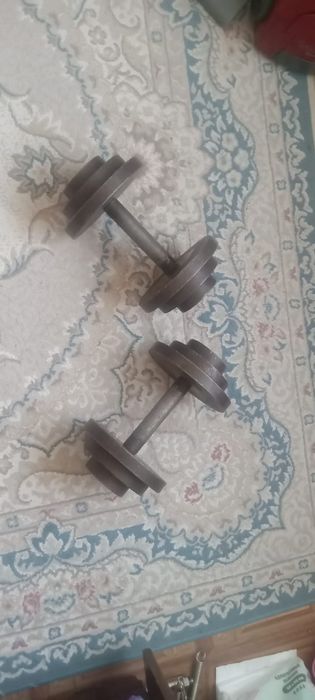 Гантели разборные