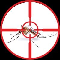 dezinfeksiya kash xidsiz  tarakn va klapa xidsiz