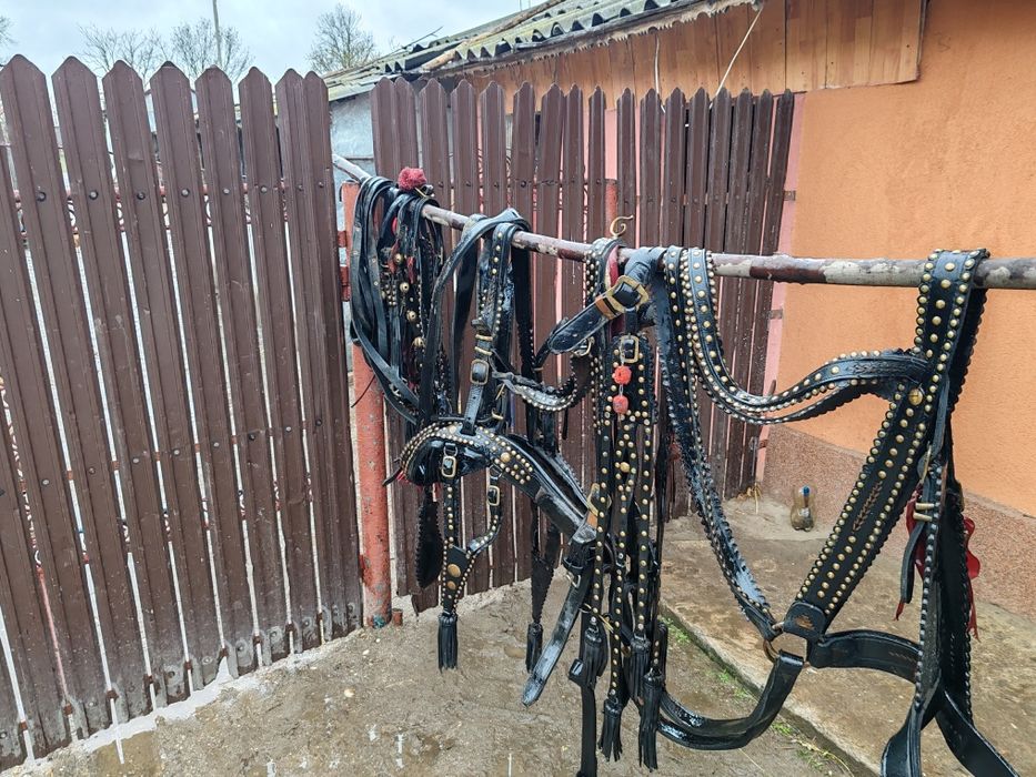 Ham de vânzare  din piele de Brașov