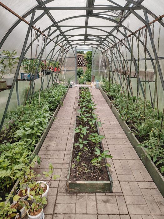 Продам дачу 13 соток