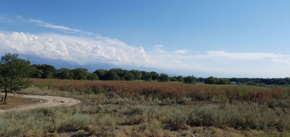 Земельный участок