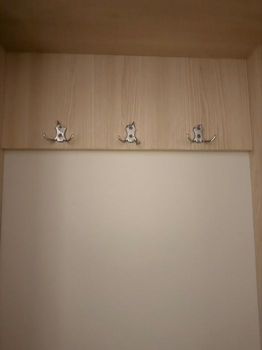 Прихожая (шкав)  20000тыс