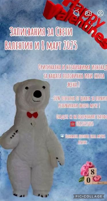 Голямата полярна бяла мечка Арктис