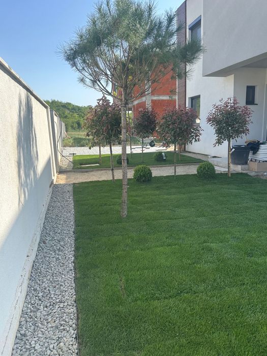 Irigatii gazon si plante