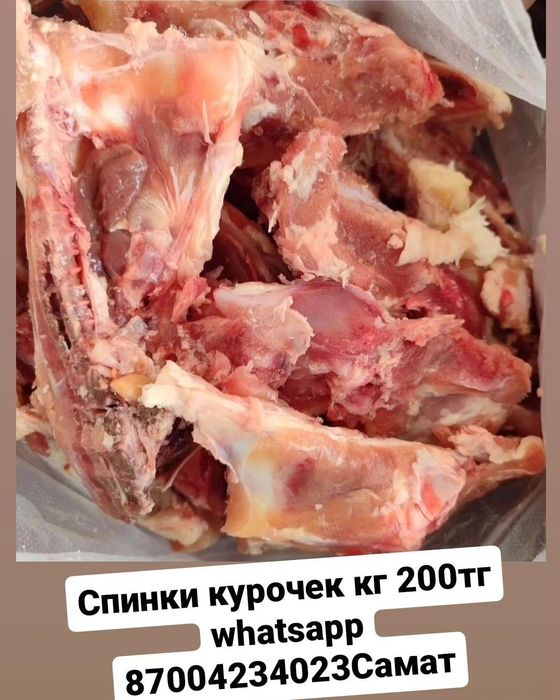 Спинки кур, корма для собак и кошек