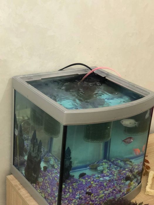 Аквариум на 35л с полным набором