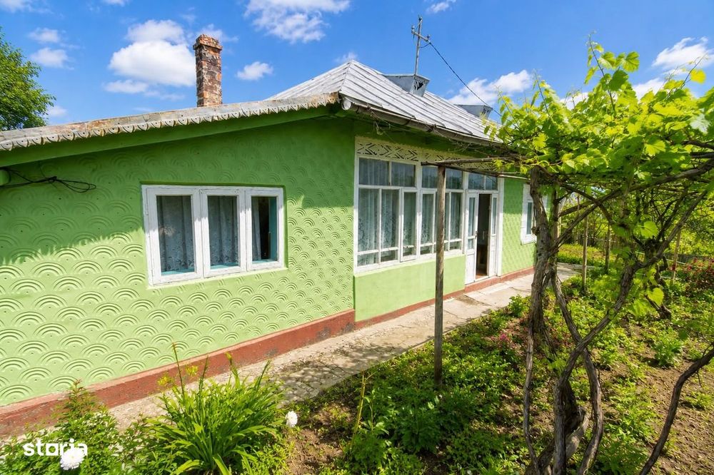 Casa Raducaneni Iasi + 4500 mp teren, ASFALT si padure!