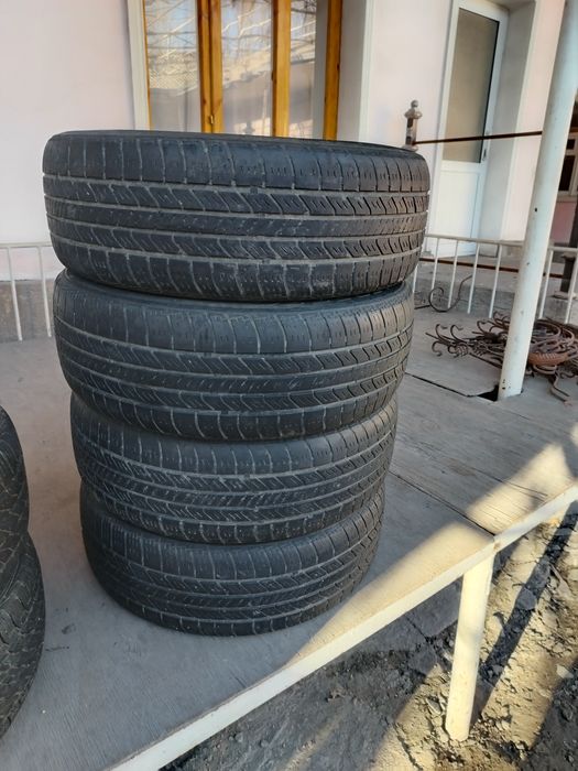 Balon   14 razmerda 2 ta.         15 razmerda     4 ta borr