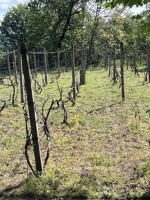 Продава се Къща в Разград, Абритус - 600 кв.м за 64 €/кв.м - Снимка #1