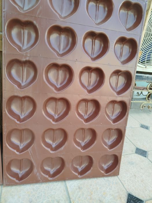 Patnoslar xar xil turi bor