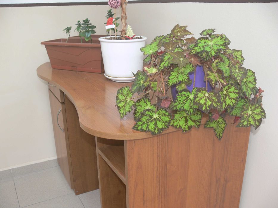 Panasonic Lumix DMC-FZ30