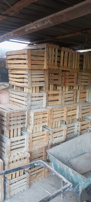 Pomidor yashik sotiladi urganchda