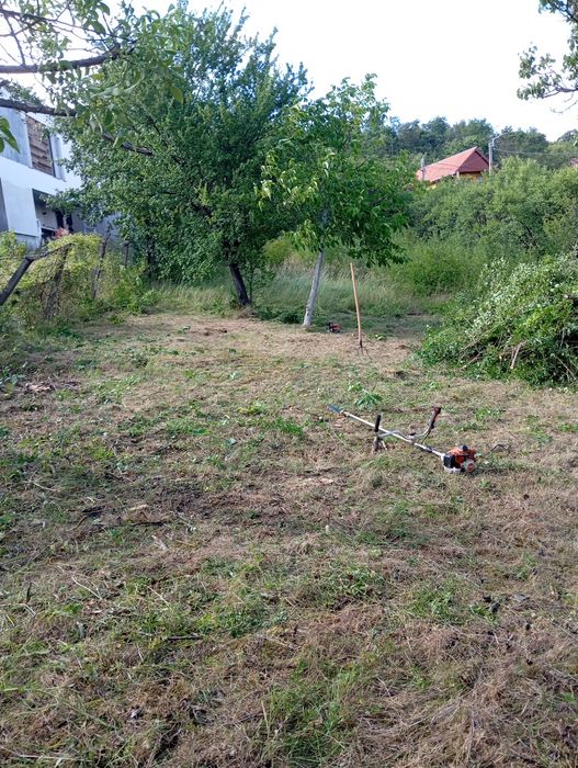 Executam defrișări, toaletări copaci,cosit iarba.Realizam debarasări