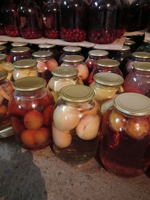 Наш адрес. Сайрам Менделеева 8,