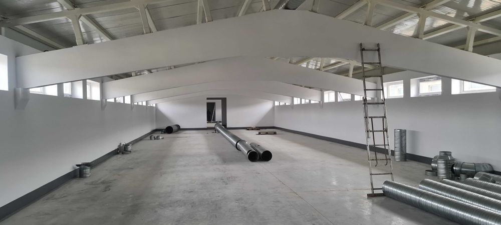Vand Hala Iasi Horlesti Rediu: 800 mp - 432.000 euro constructie noua.