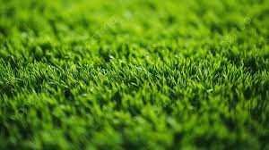 Sun'iy chim Xitoydan. Искусственный газон из Китая.