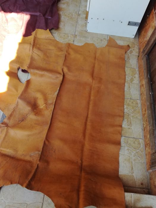 Piele