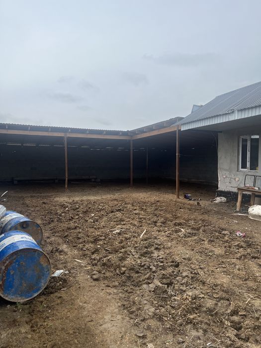 Продается Фазенда | Кашар сатылады