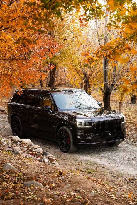 Zeekr X9 black edition dop opsia