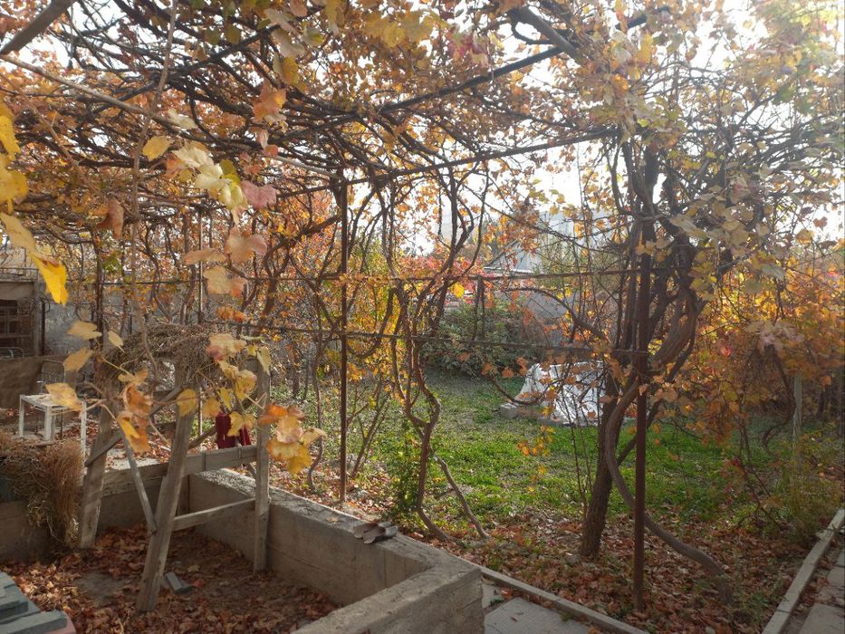 Продаётся дача на спутнике.