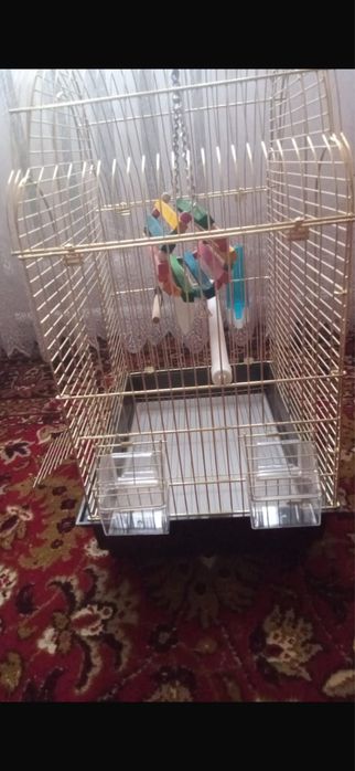Клетка для попугая