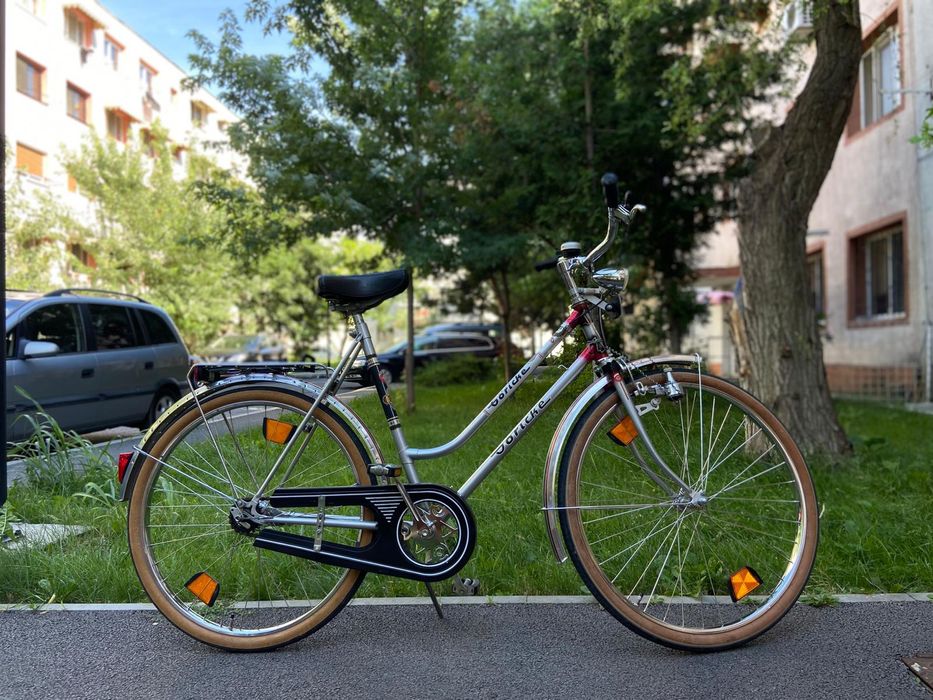 Bicicleta Goricke
