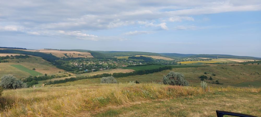 Teren extravilan lucernă