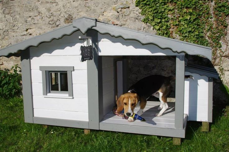 Cușcă de câine MODERNĂ izolata pe comandă