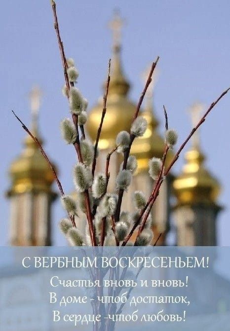 Сдам квартиру в аренду