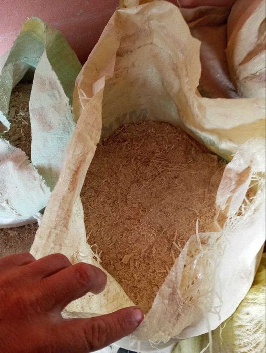 Terak yog'ochдан апилкалар