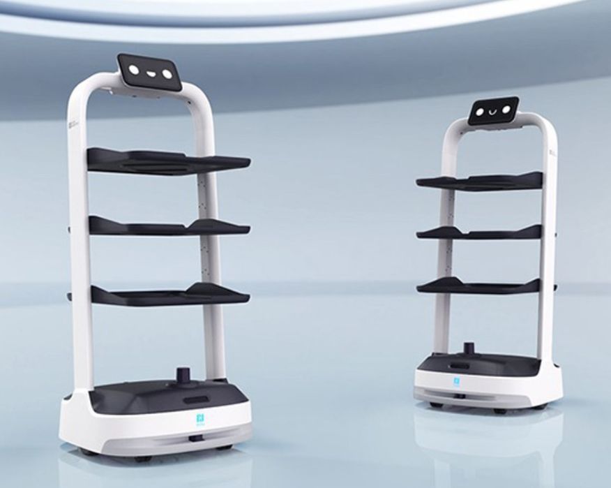 Робот Официант pudubot 2