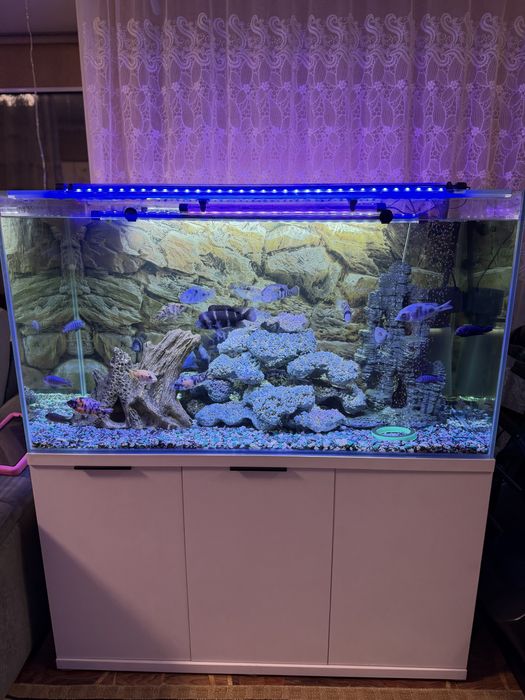 Аквариум на 420 литров .