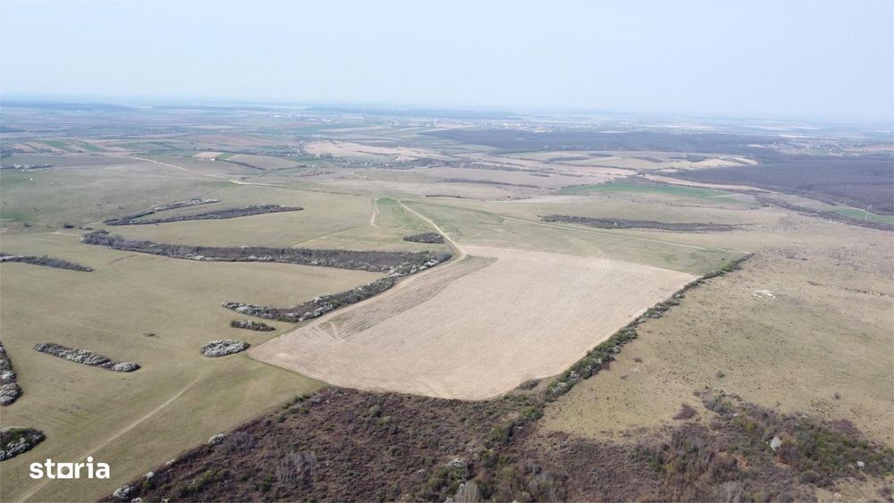 Teren 26.82 ha Ardud | Oportunitate pentru dezvoltare