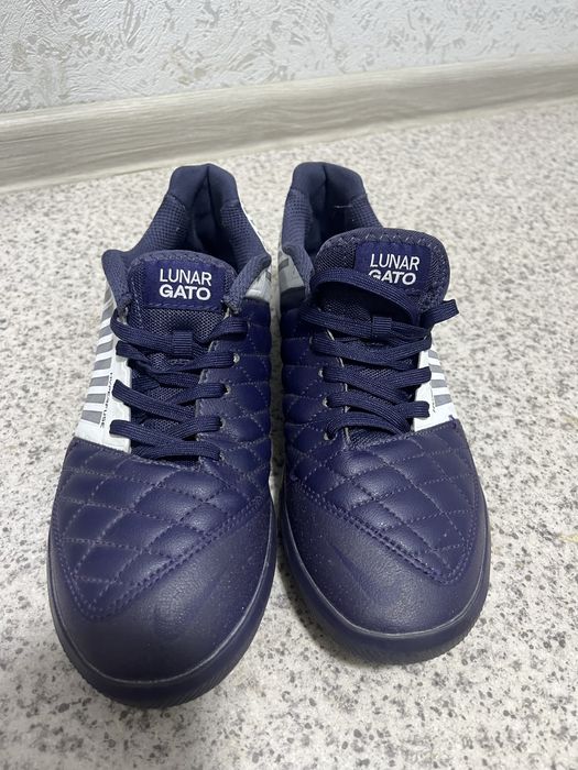 Сороконожка маломерка