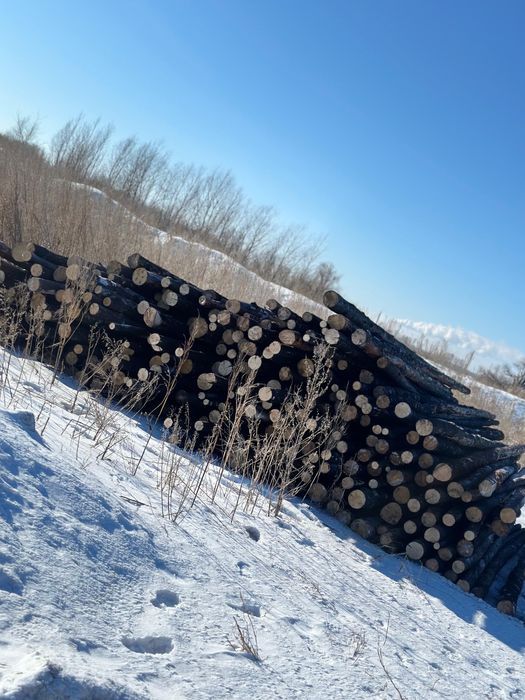 Жерди, Подтоварник