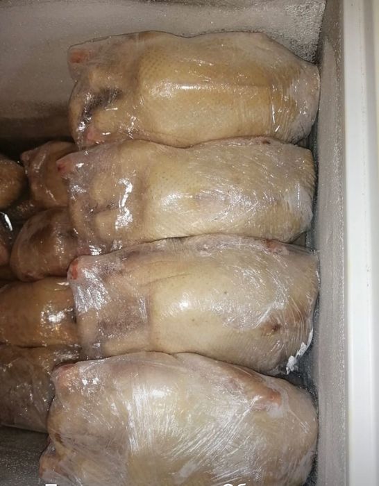 мясо уток ОПТОМ. куры оптом