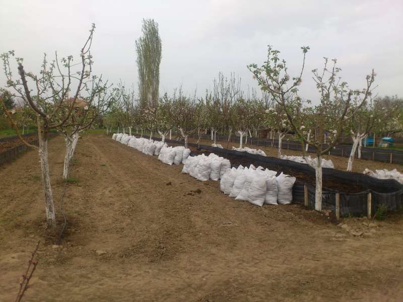 БИОХУМУС И ТЕЧЕН БИОТОР  Червен Калифорнийски Червеи  100% ОРГАНИЧНО