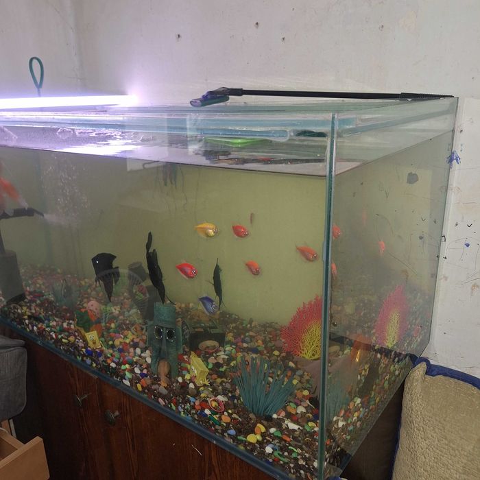 Продам Аквариума СРОЧНО! 220 л.