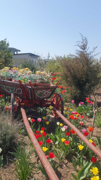 Francesca Events Garden