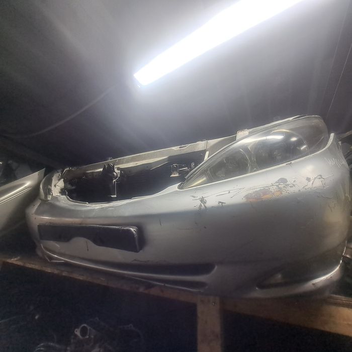 Морда носкат таёта