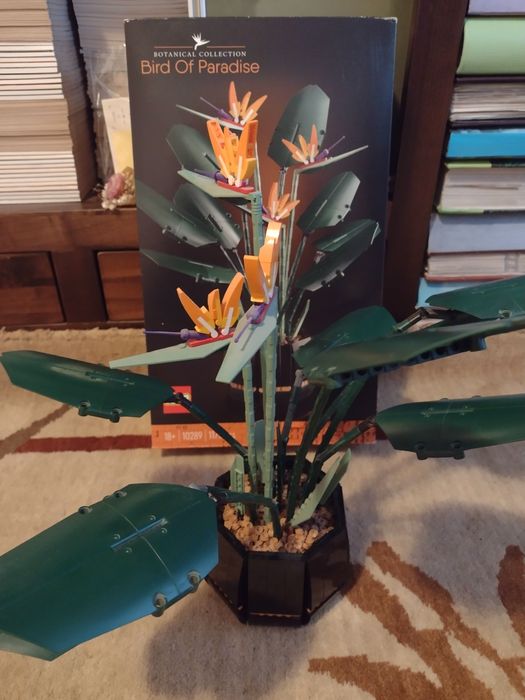 Lego Pasărea Paradisului cod 10289