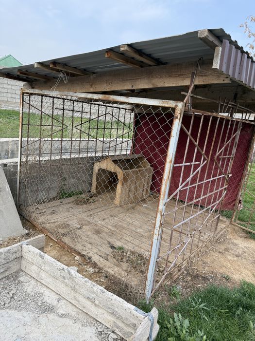 Вольер иттің ұясы 100000