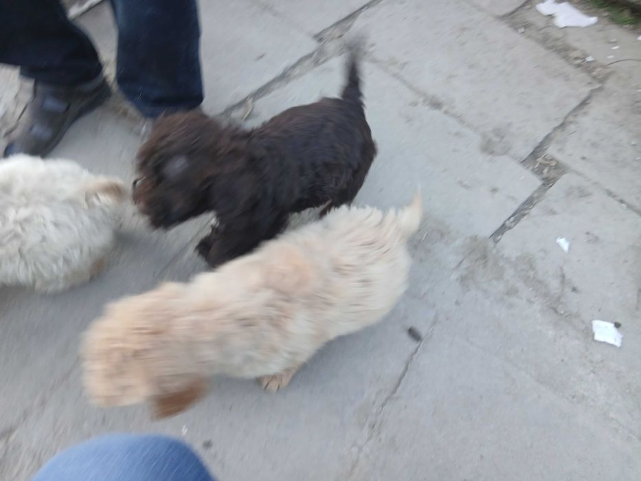 Лагото на 2м мъжки