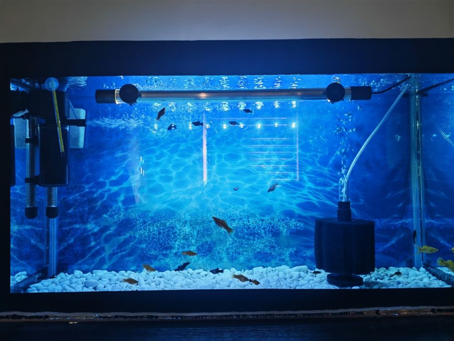 Аквариум 110 л сотилмокда