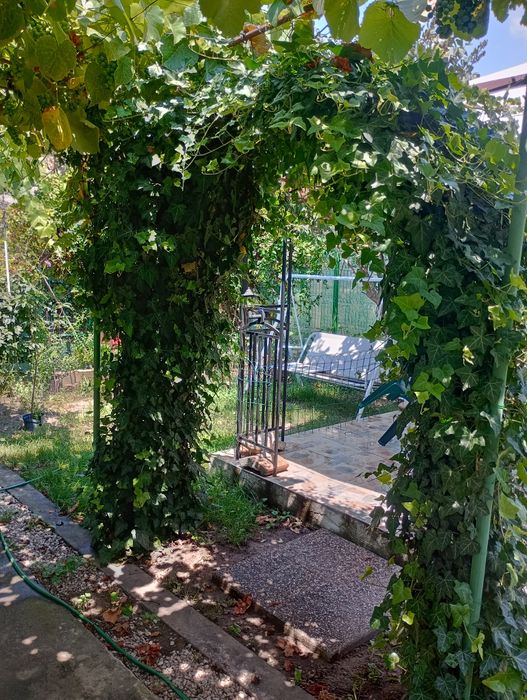 Apartament 4 camere(casă)curte comună Iosefin