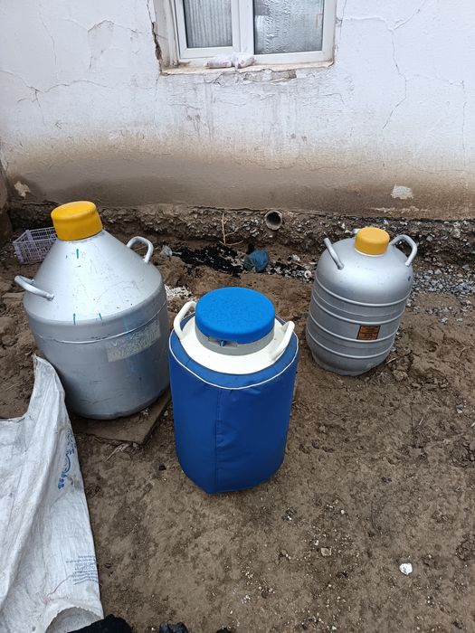 Сосуд дьюара. Азот сақтауға арналған ыдыс