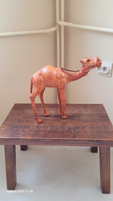 Голяма декоративна автентична коруба черупка от костенурка